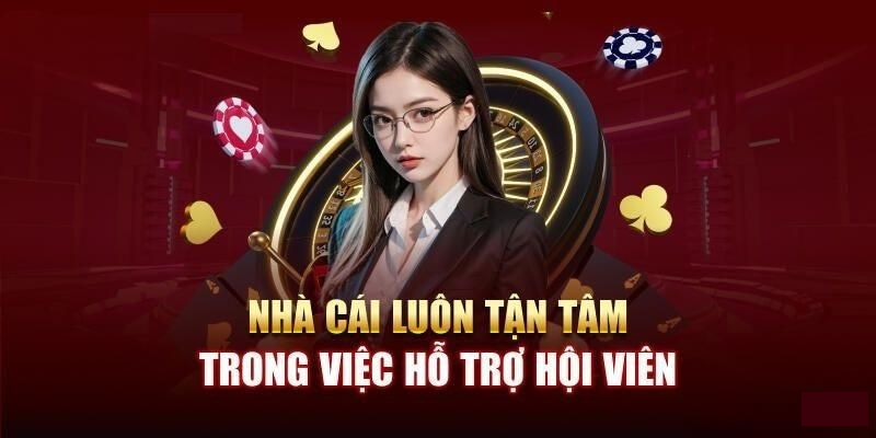 Tư vấn khách cược 24/7